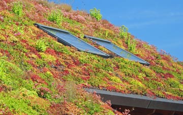 Lower Whatley living roof systems